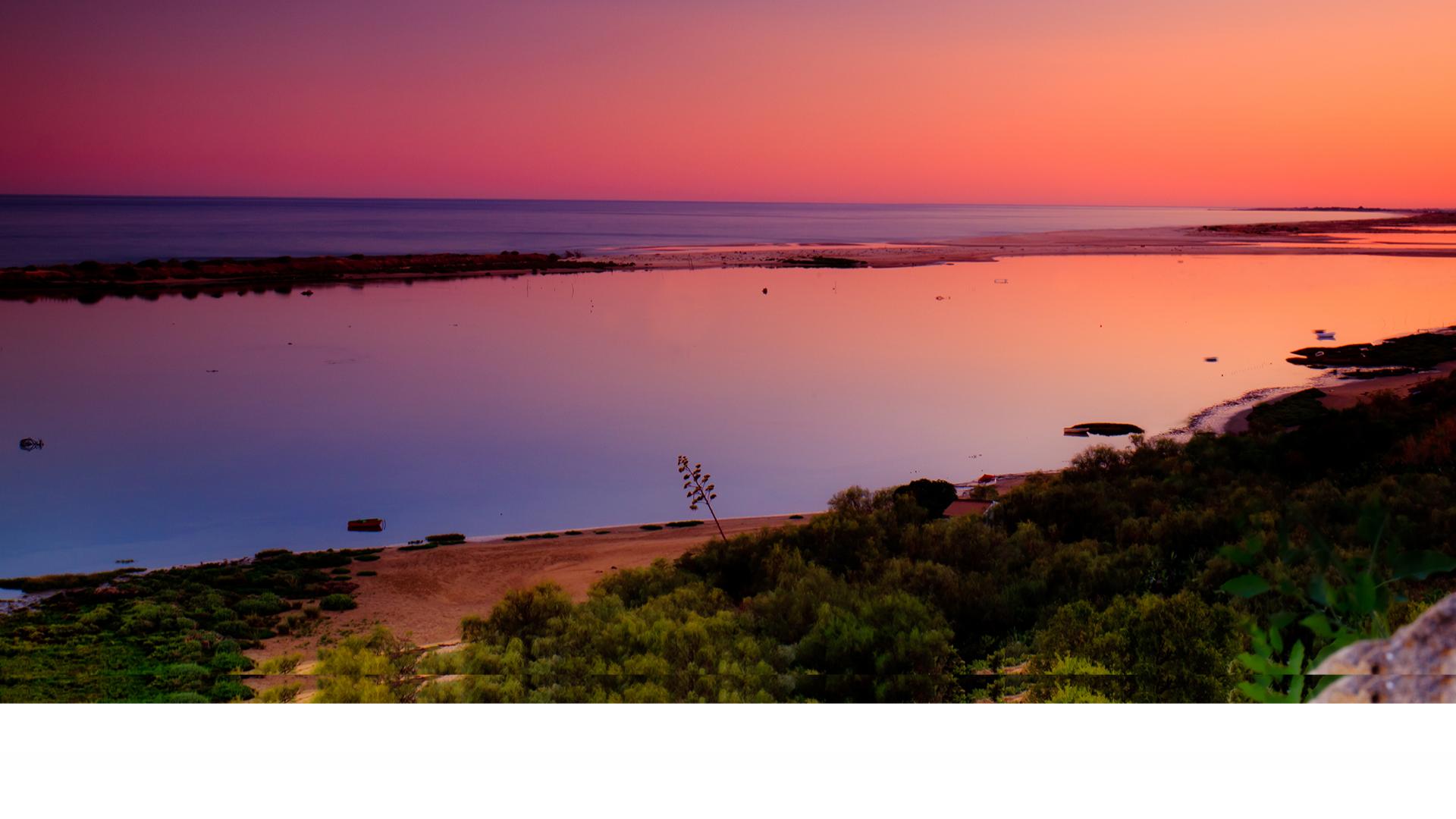 Algarve, a biodiversity paradise